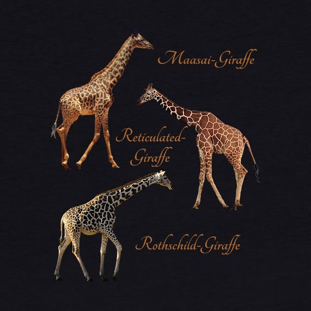 3 Giraffe - Species in Kenya / Africa by T-SHIRTS UND MEHR